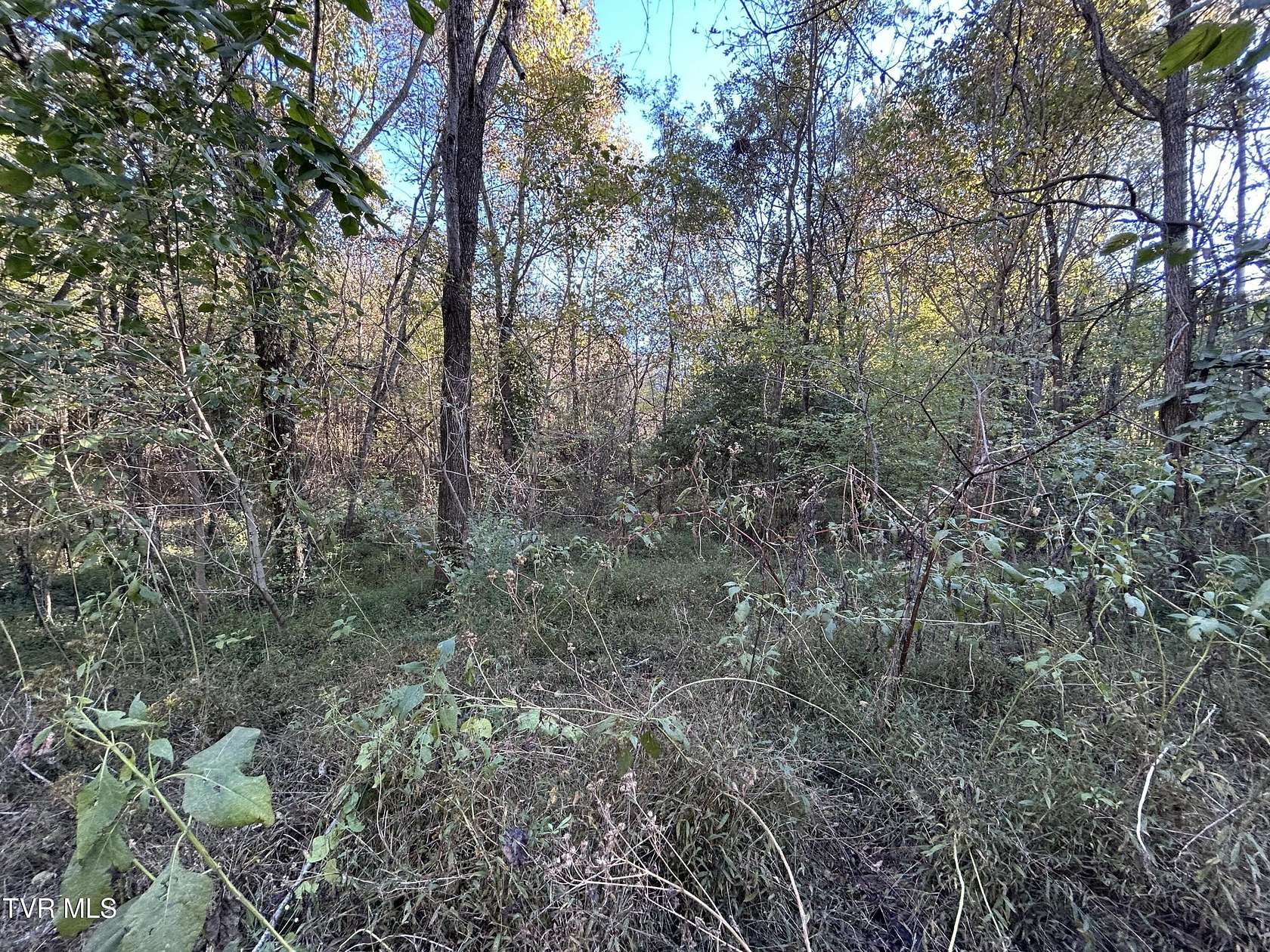 10.5 Acres of Land for Sale in Greeneville, Tennessee