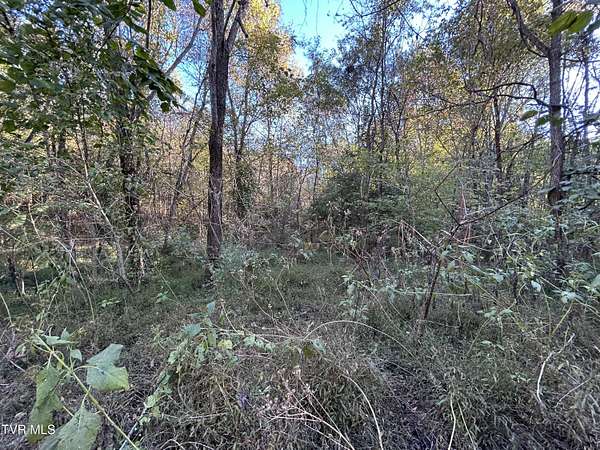 10.5 Acres of Land for Sale in Greeneville, Tennessee