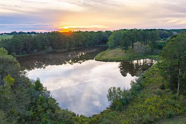 31.3 Acres of Recreational & Residential Land for Sale in Coffee Springs, Alabama