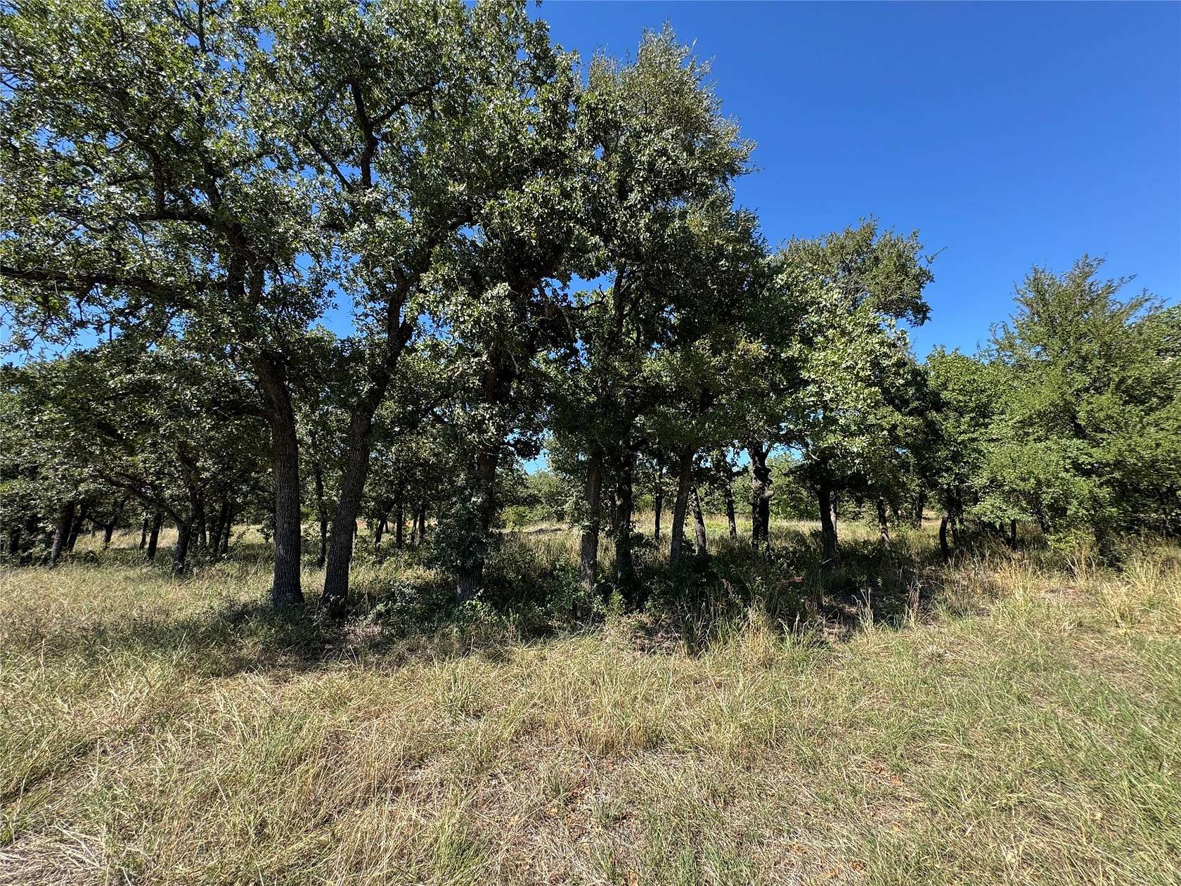 2 Acres of Residential Land for Sale in Mineral Wells, Texas