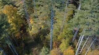 1.27 Acres of Residential Land for Sale in Cullowhee, North Carolina