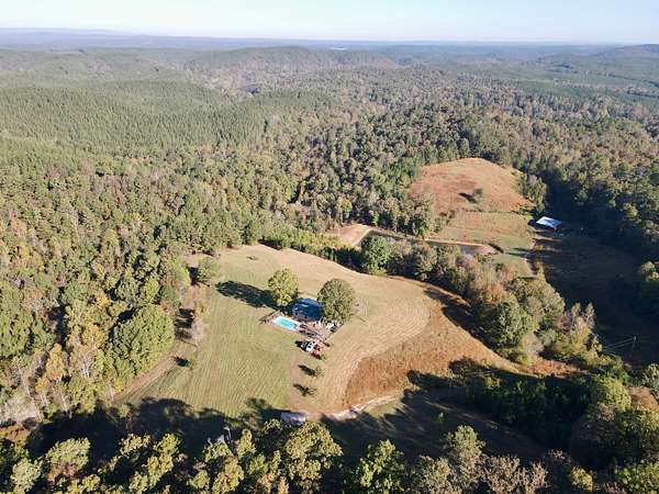 40 Acres of Land for Sale in Wadley, Alabama