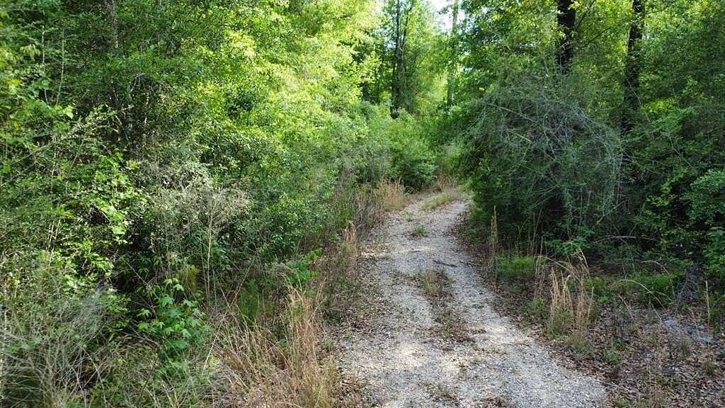 15 Acres of Recreational & Residential Land for Sale in Wewahitchka, Florida
