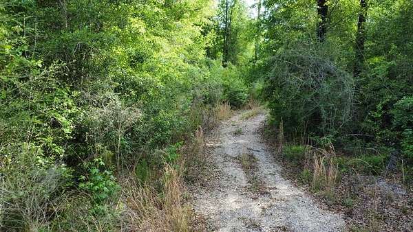 15 Acres of Recreational & Residential Land for Sale in Wewahitchka, Florida