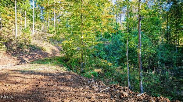 1.3 Acres of Residential Land for Sale in Elizabethton, Tennessee