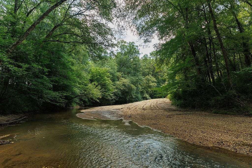 970 Acres of Recreational Land for Sale in Wetumpka, Alabama
