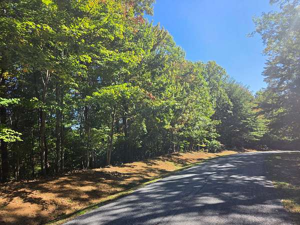 21.8 Acres of Recreational Land for Sale in Ferguson, North Carolina