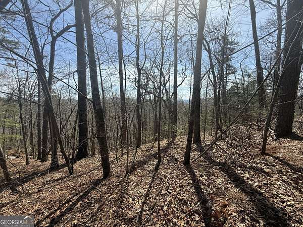 1.5 Acres of Land for Sale in Clayton, Georgia