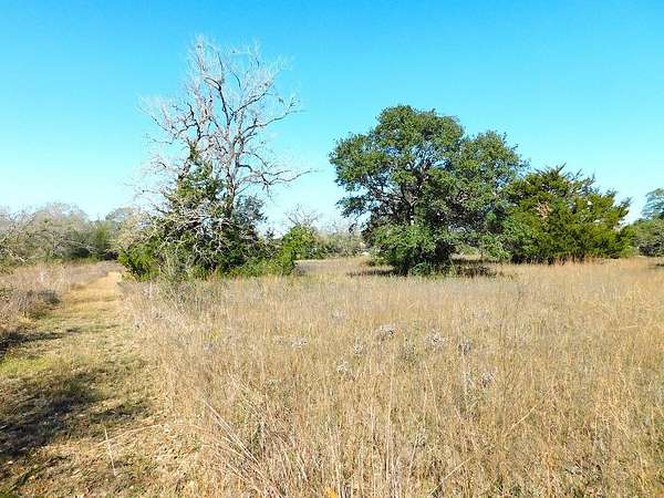 3 Acres of Residential Land for Sale in Washington, Texas
