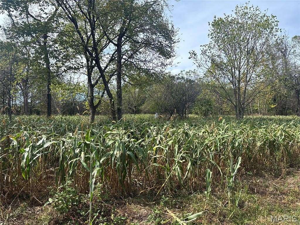 19.9 Acres of Recreational Land with Home for Sale in Summersville, Missouri