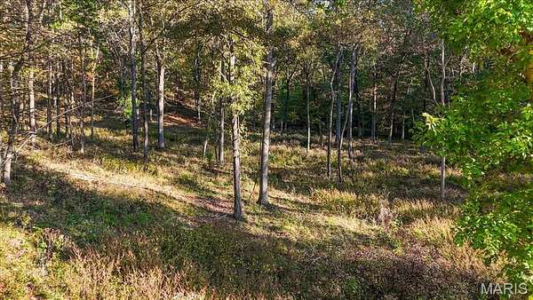 11.4 Acres of Land for Sale in Wildwood, Missouri