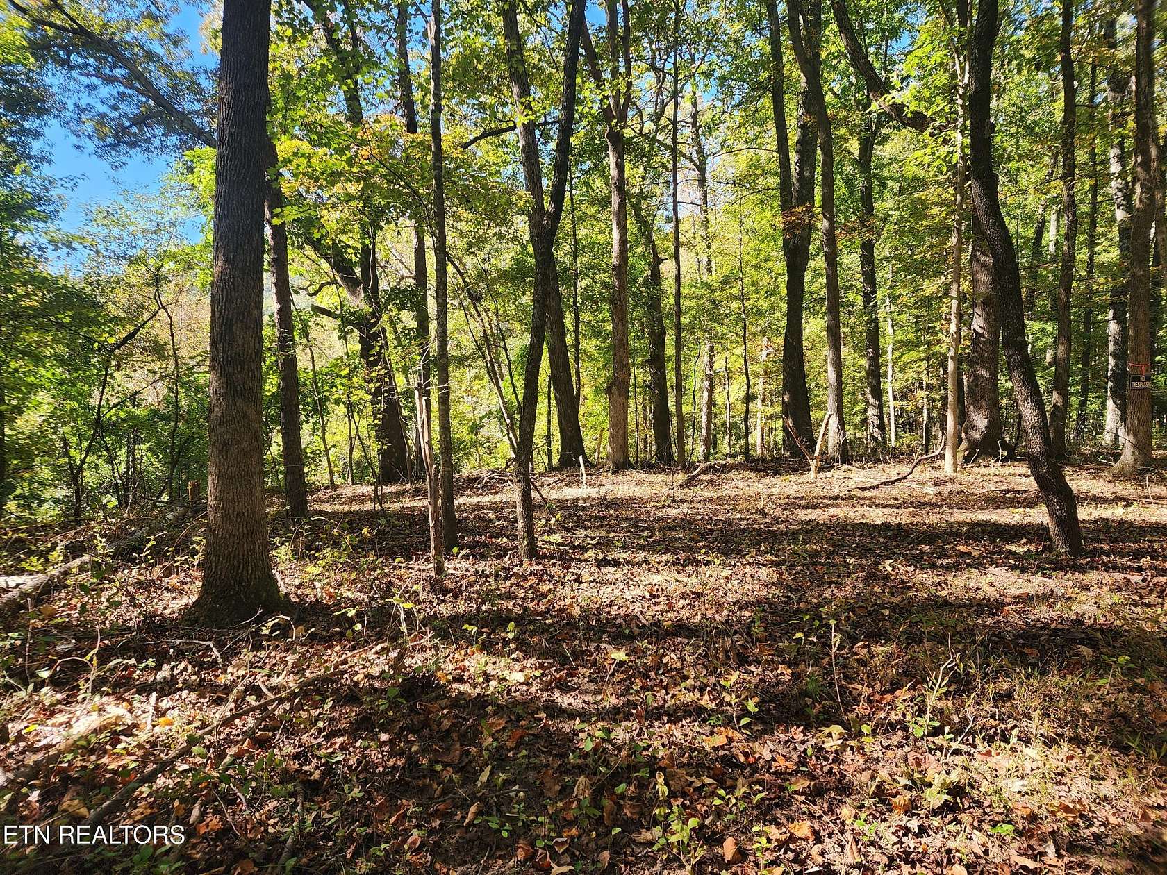 6 Acres of Residential Land for Sale in Rockwood, Tennessee