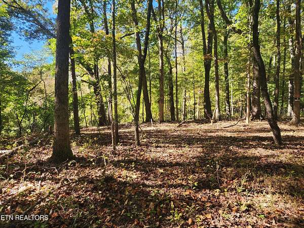 6 Acres of Residential Land for Sale in Rockwood, Tennessee