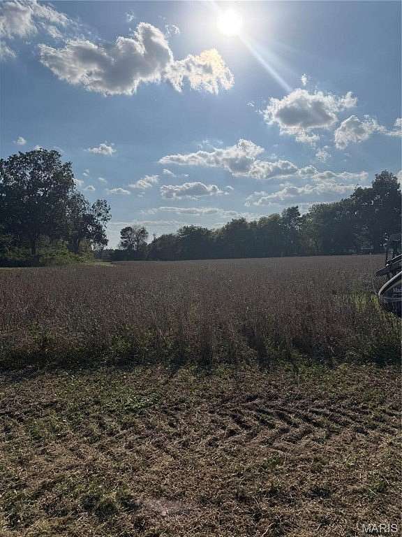 Land for Sale in Charleston, Missouri
