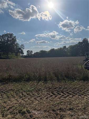 Land for Sale in Charleston, Missouri