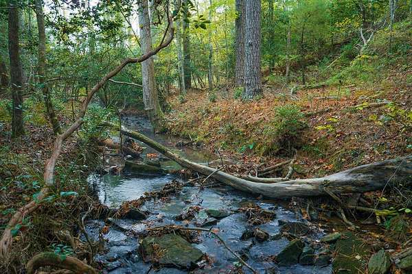3.17 Acres of Residential Land for Sale in Ellijay, Georgia