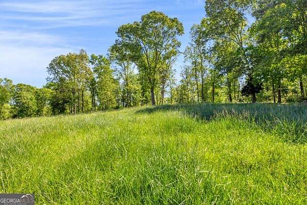 30 Acres of Land for Sale in Eastanollee, Georgia