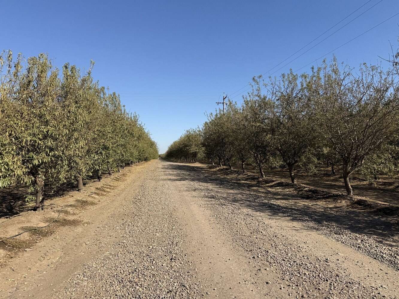 1,112 Acres of Land for Sale in Denair, California