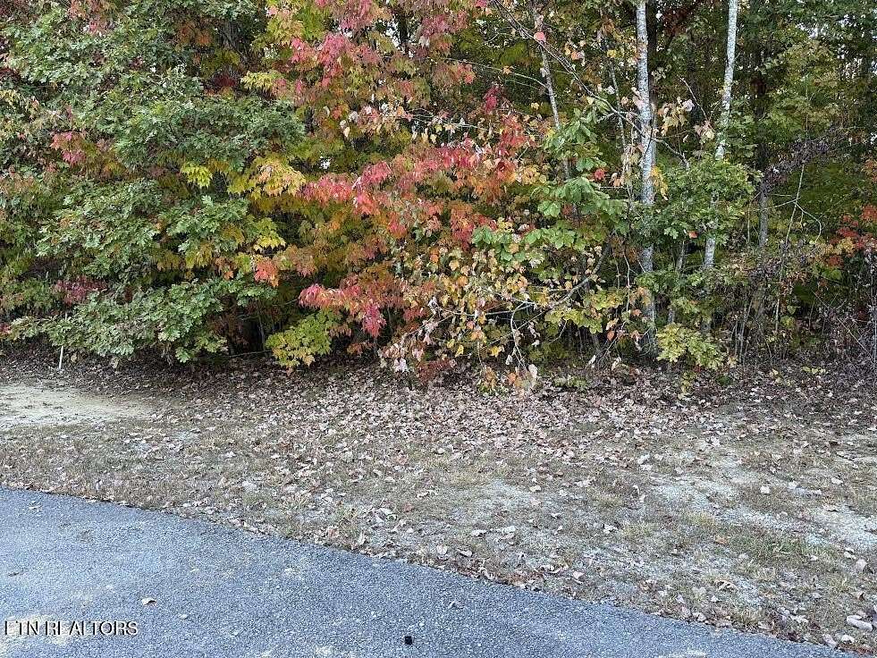 2 Acres of Land for Sale in Grimsley, Tennessee