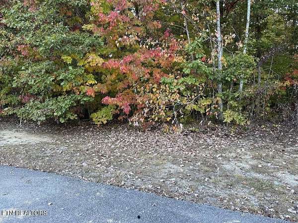 2 Acres of Land for Sale in Grimsley, Tennessee