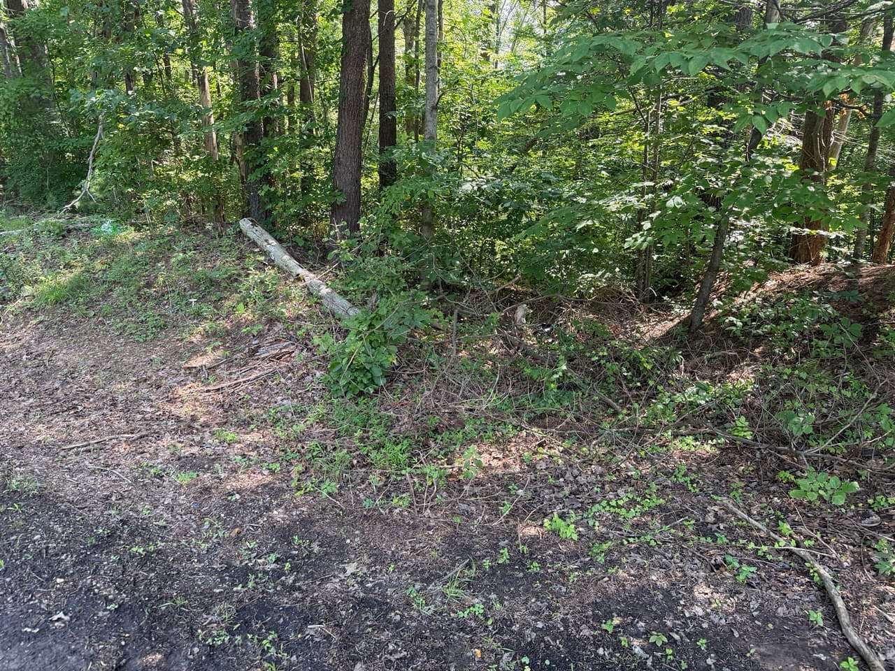 0.79 Acres of Residential Land for Sale in Bassett, Virginia