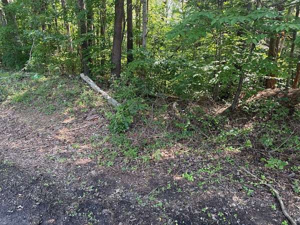 0.79 Acres of Residential Land for Sale in Bassett, Virginia