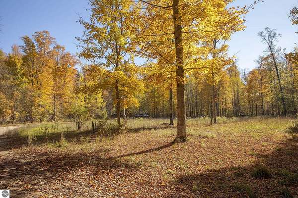 1 Acre of Residential Land for Sale in Grawn, Michigan