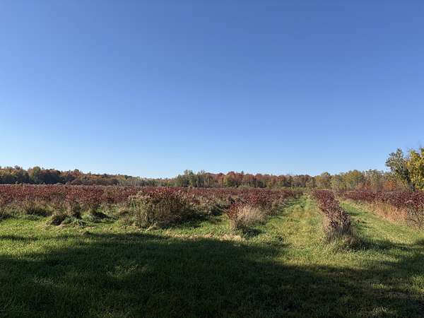 40 Acres of Land for Sale in Grand Junction, Michigan