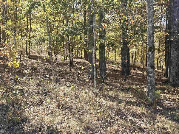 0.37 Acres of Residential Land for Sale in Hot Springs, Arkansas