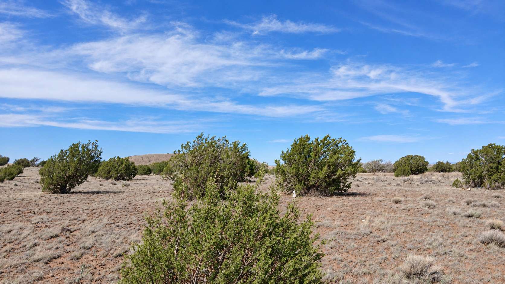1 Acre of Residential Land for Sale in Concho, Arizona