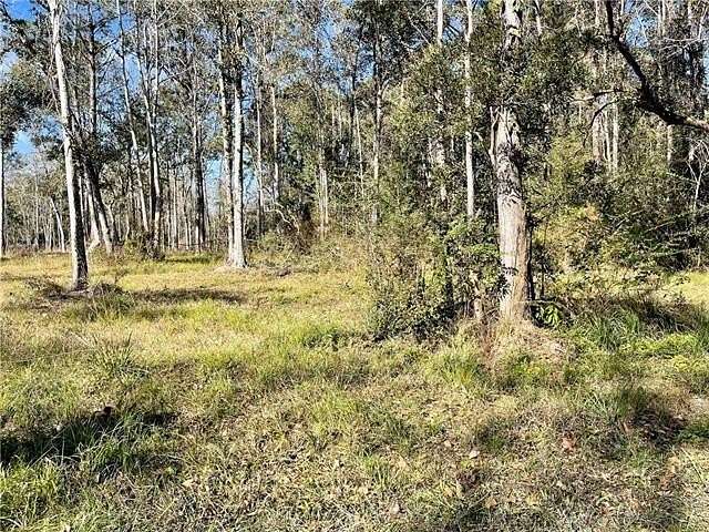 49 Acres of Recreational & Residential Land for Sale in Slidell, Louisiana