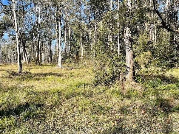 49 Acres of Recreational & Residential Land for Sale in Slidell, Louisiana