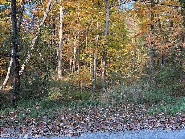 1 Acre of Residential Land for Sale in Kirtland, Ohio