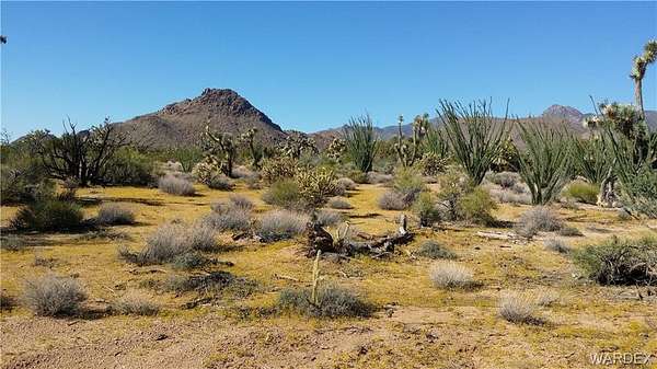 40 Acres of Land for Sale in Yucca, Arizona