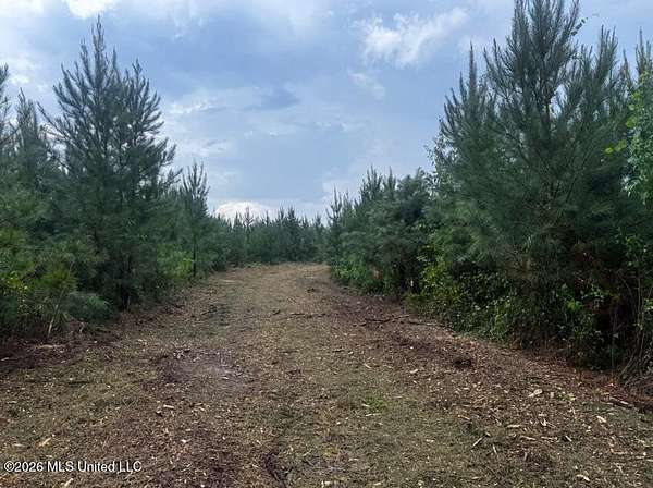 50 Acres of Land for Sale in Harrisville, Mississippi