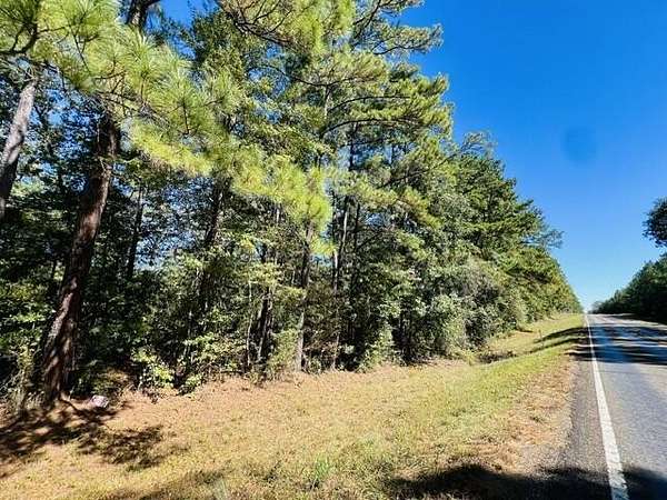 20 Acres of Recreational & Residential Land for Sale in Bronson, Texas