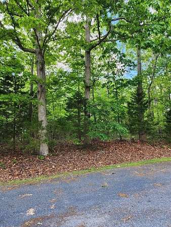 0.23 Acres of Residential Land for Sale in Greenbackville, Virginia