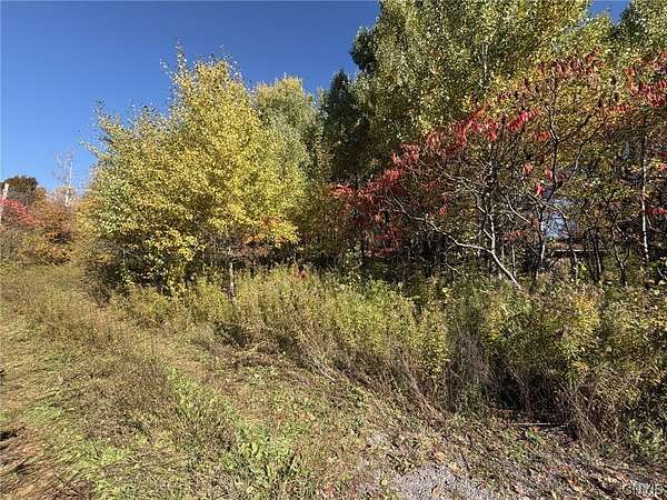 25 Acres of Improved Recreational Land for Sale in Mohawk, New York