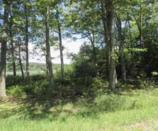 59.3 Acres of Land for Sale in Spring Lake, Michigan