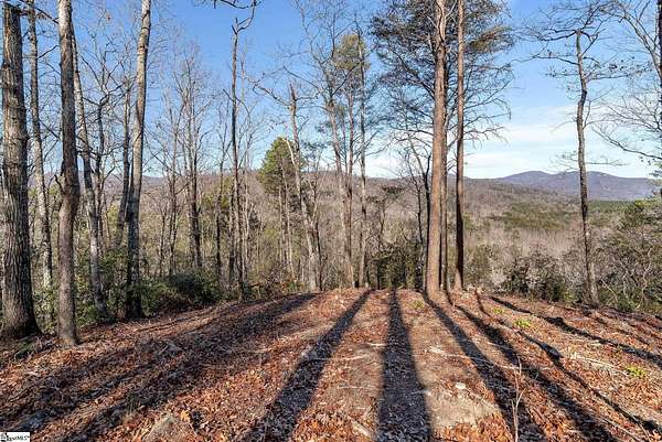 2.25 Acres of Residential Land for Sale in Marietta, South Carolina