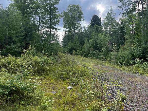 140 Acres of Recreational Land for Sale in Republic, Michigan