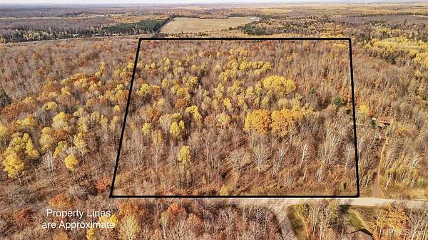 36.1 Acres of Recreational & Residential Land for Sale in Iron River, Michigan