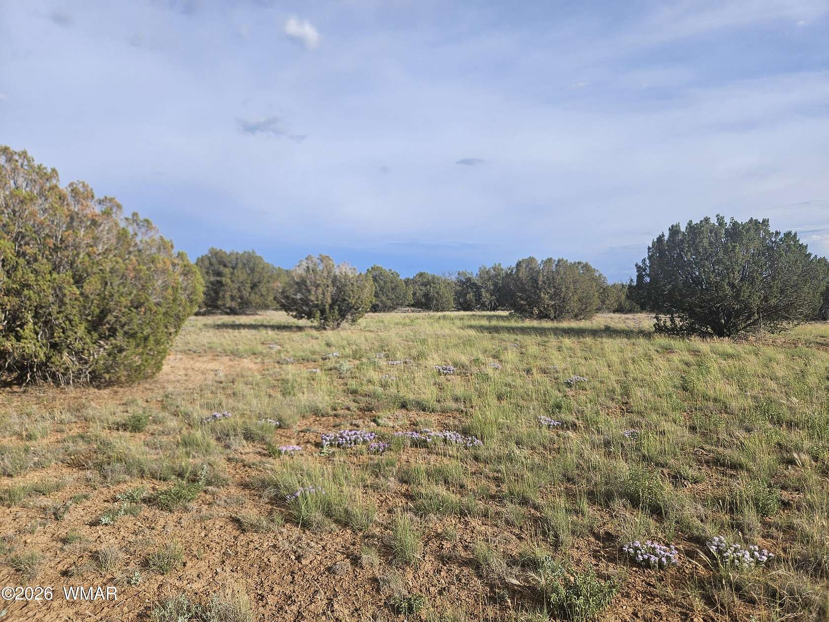 6.78 Acres of Residential Land for Sale in Show Low, Arizona