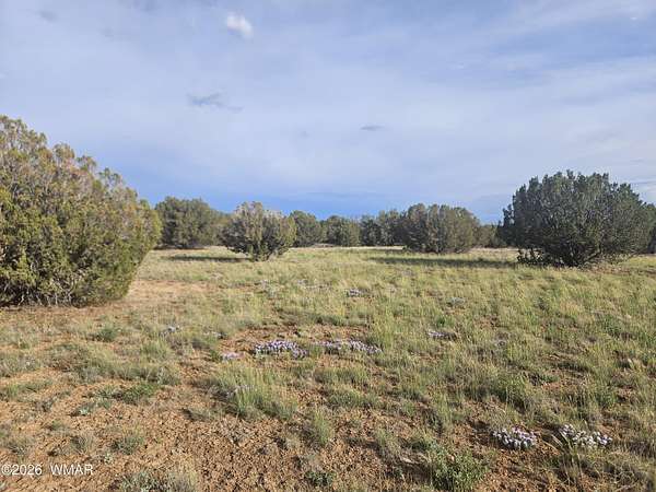 6.78 Acres of Residential Land for Sale in Show Low, Arizona
