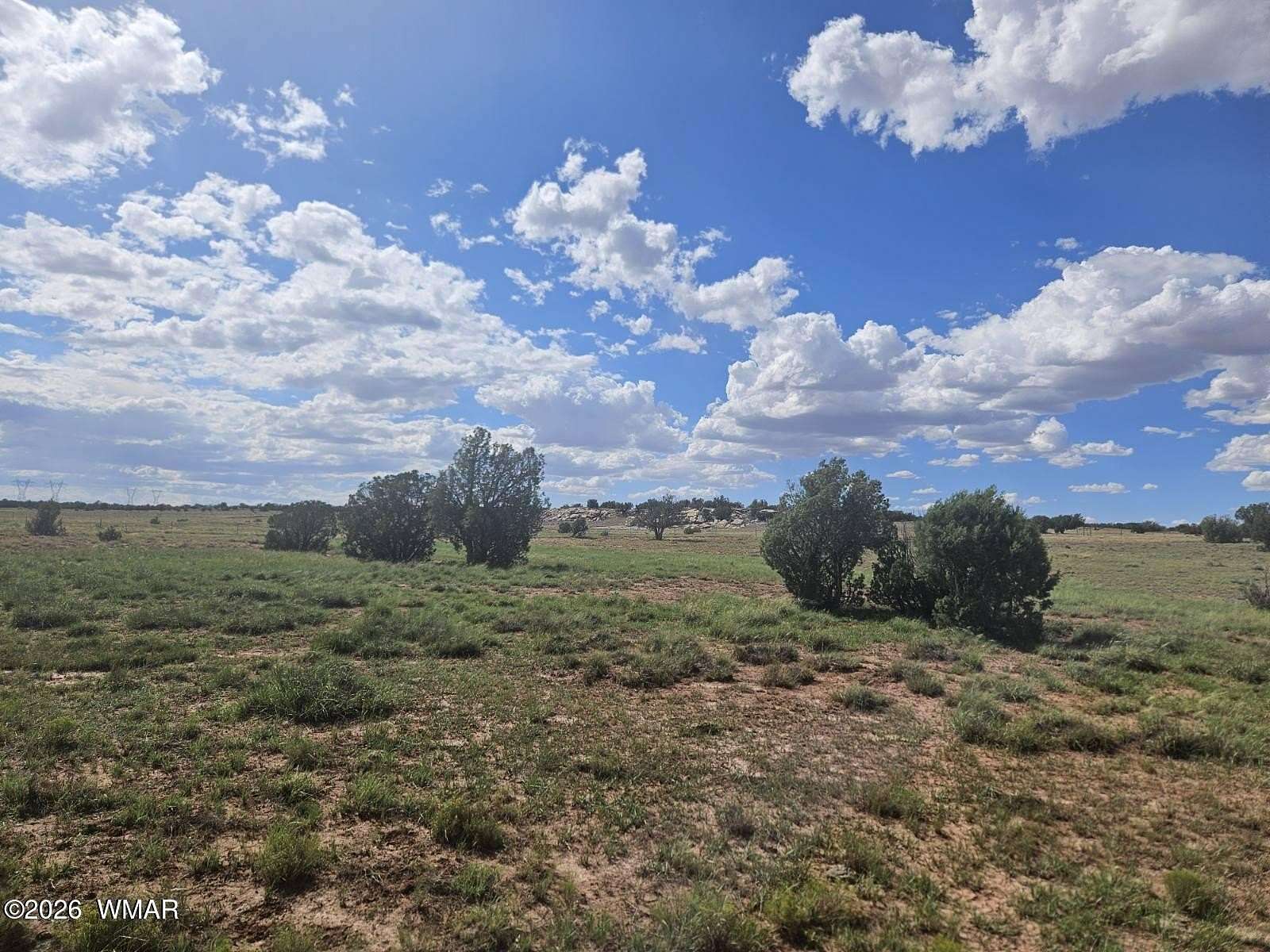 50 Acres of Land for Sale in Concho, Arizona