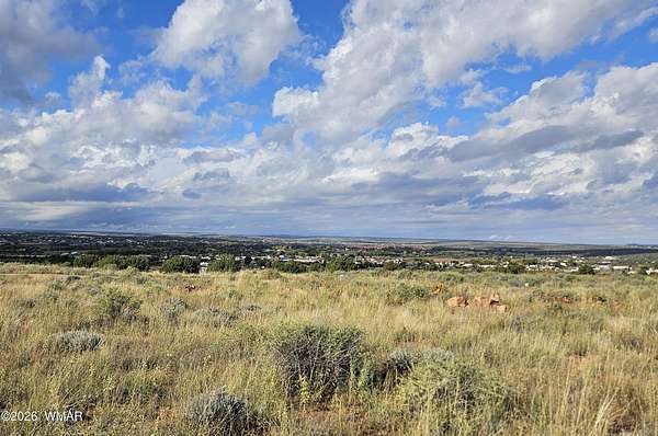 0.5 Acres of Residential Land for Sale in Snowflake, Arizona