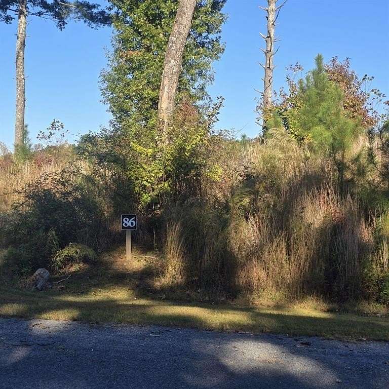 0.98 Acres of Residential Land for Sale in Ellijay, Georgia