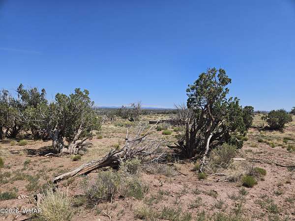 40 Acres of Recreational & Residential Land for Sale in Snowflake, Arizona