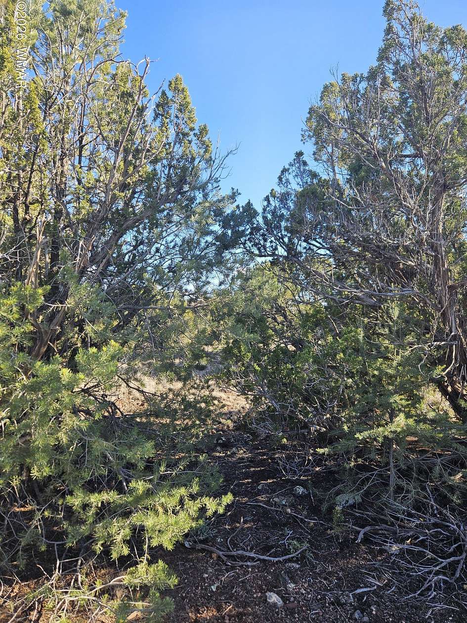 0.24 Acres of Residential Land for Sale in Show Low, Arizona
