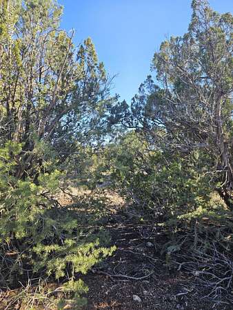 0.24 Acres of Residential Land for Sale in Show Low, Arizona